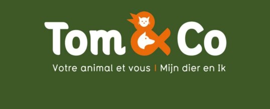 Entretien avec Simon Goubau, jeune multifranchisé de Tom&Co